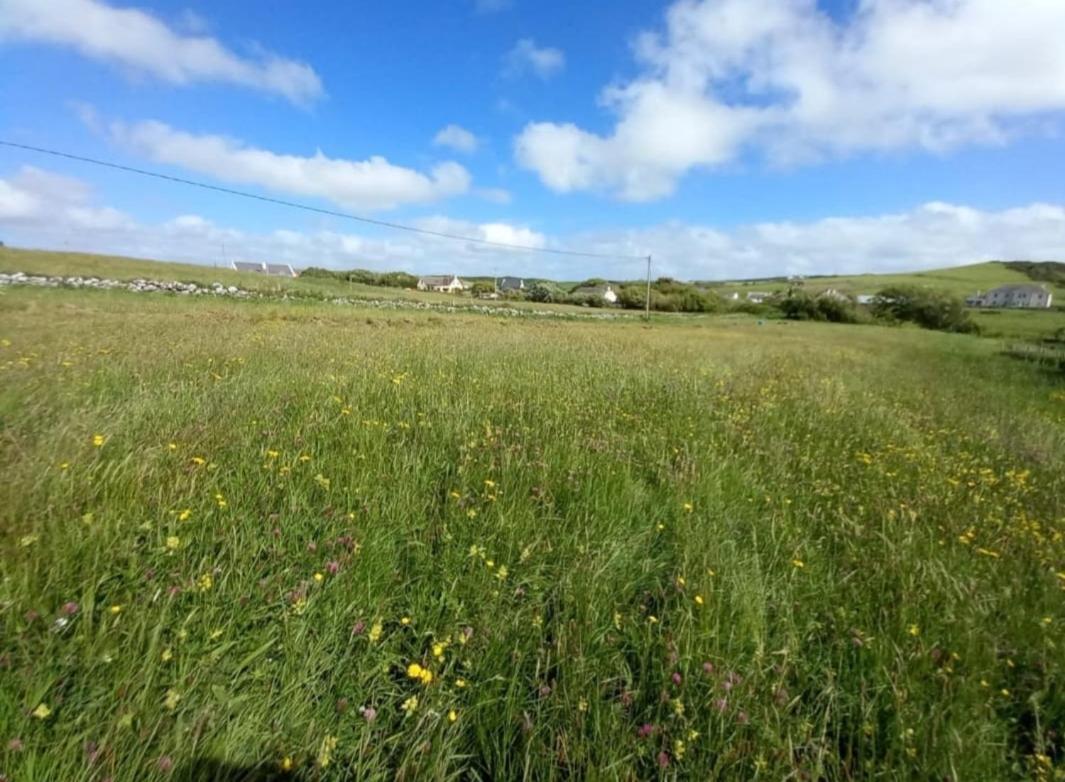 Вилла Wild Meadow Huts Дулин Экстерьер фото