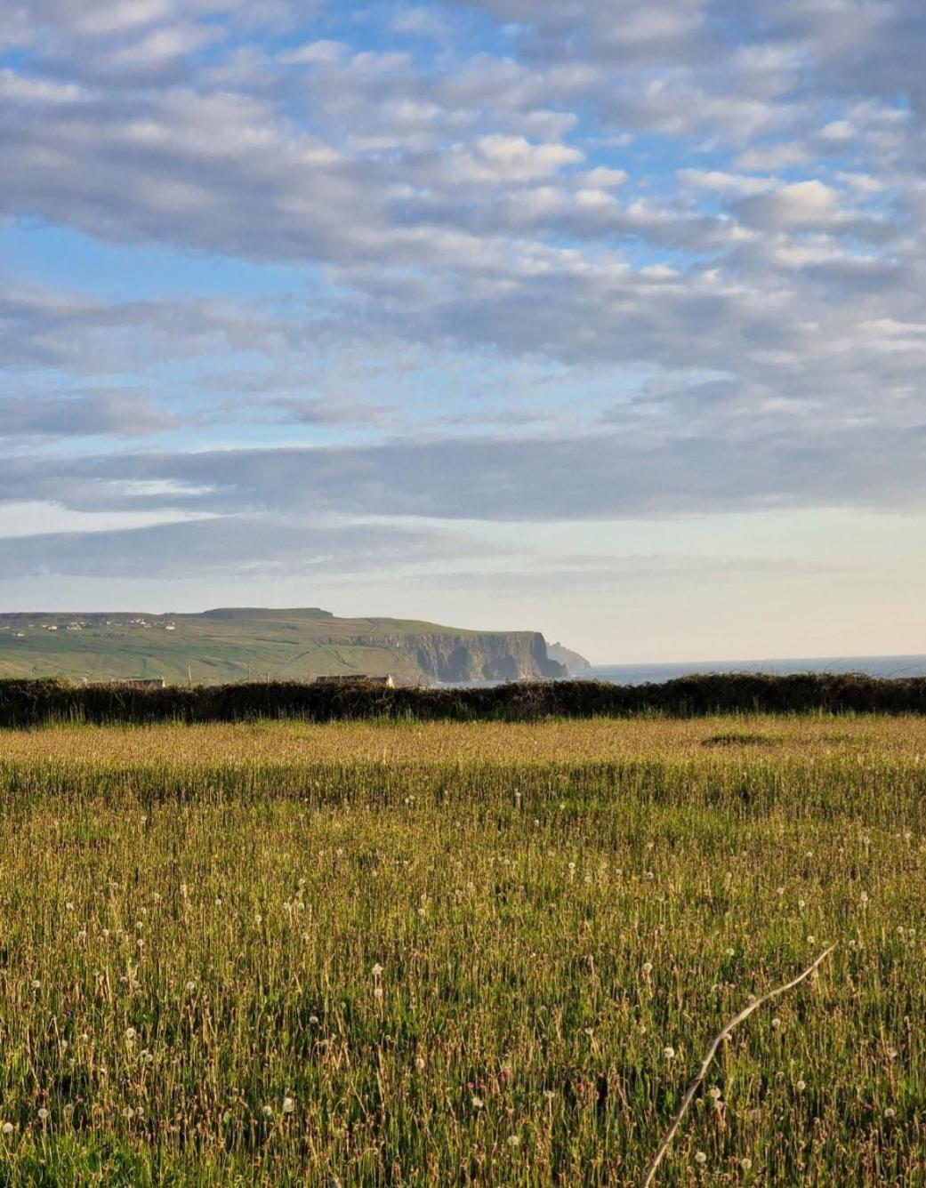Вилла Wild Meadow Huts Дулин Экстерьер фото