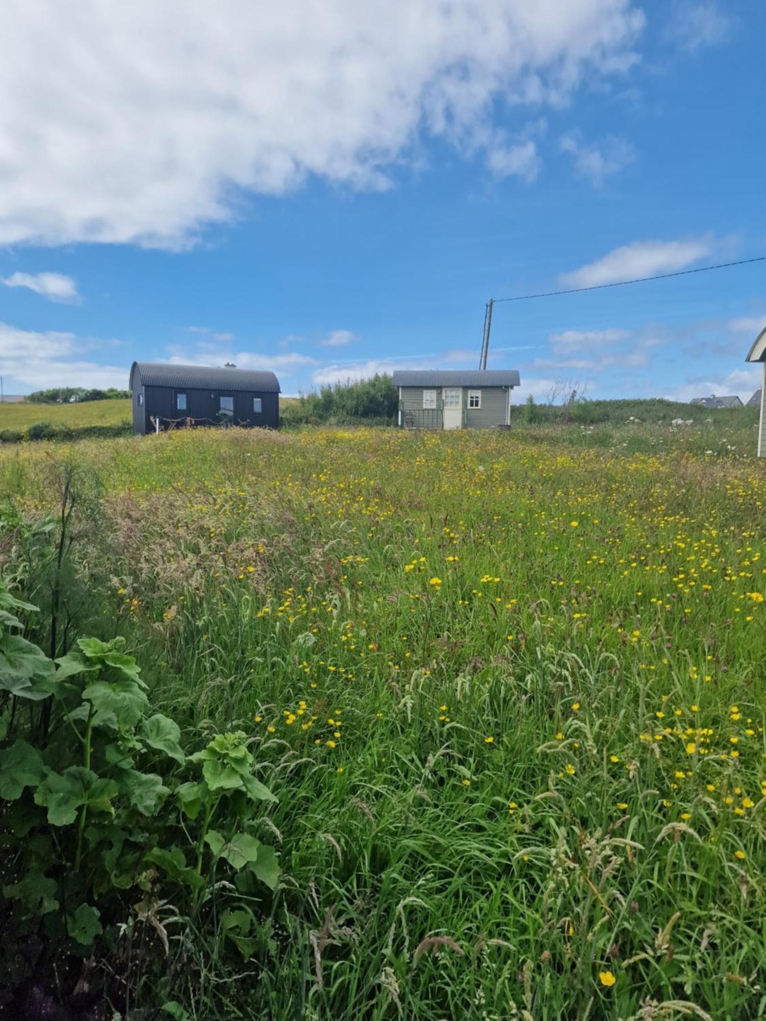 Вилла Wild Meadow Huts Дулин Экстерьер фото