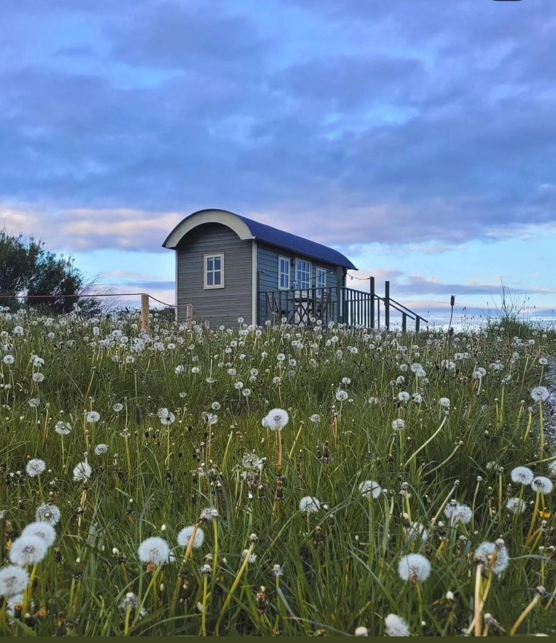 Вилла Wild Meadow Huts Дулин Экстерьер фото