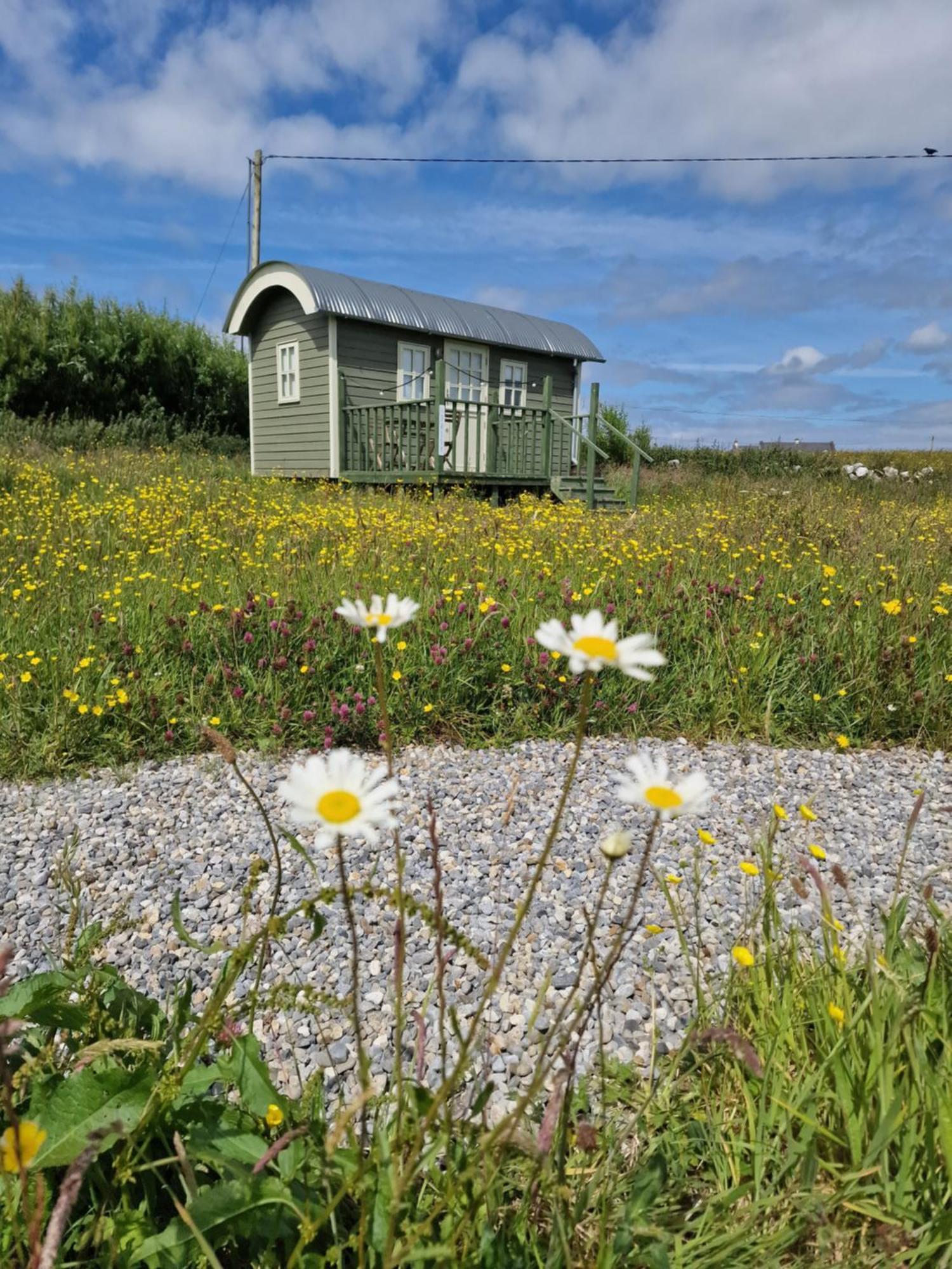 Вилла Wild Meadow Huts Дулин Экстерьер фото