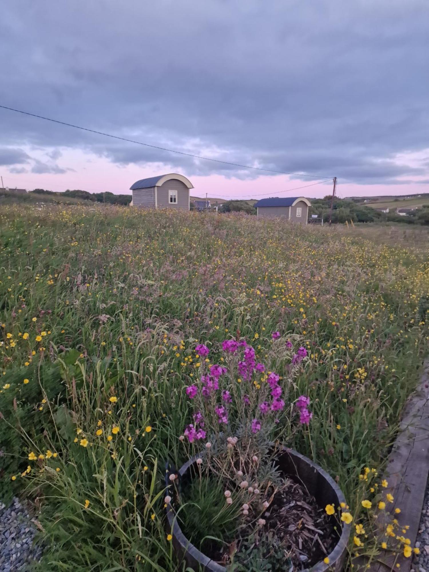 Вилла Wild Meadow Huts Дулин Экстерьер фото