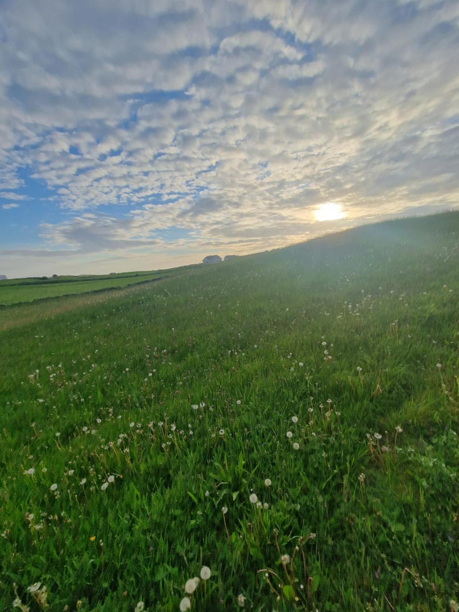 Вилла Wild Meadow Huts Дулин Экстерьер фото
