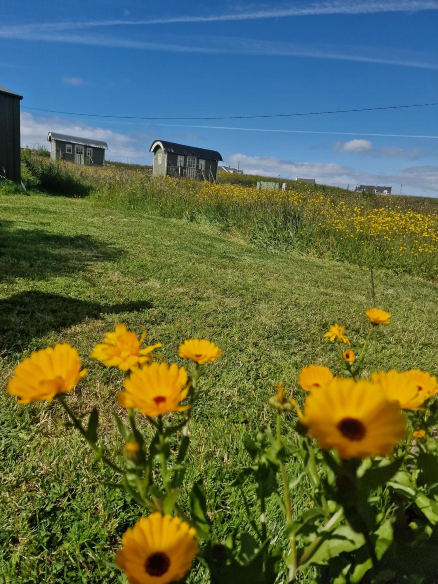 Вилла Wild Meadow Huts Дулин Экстерьер фото